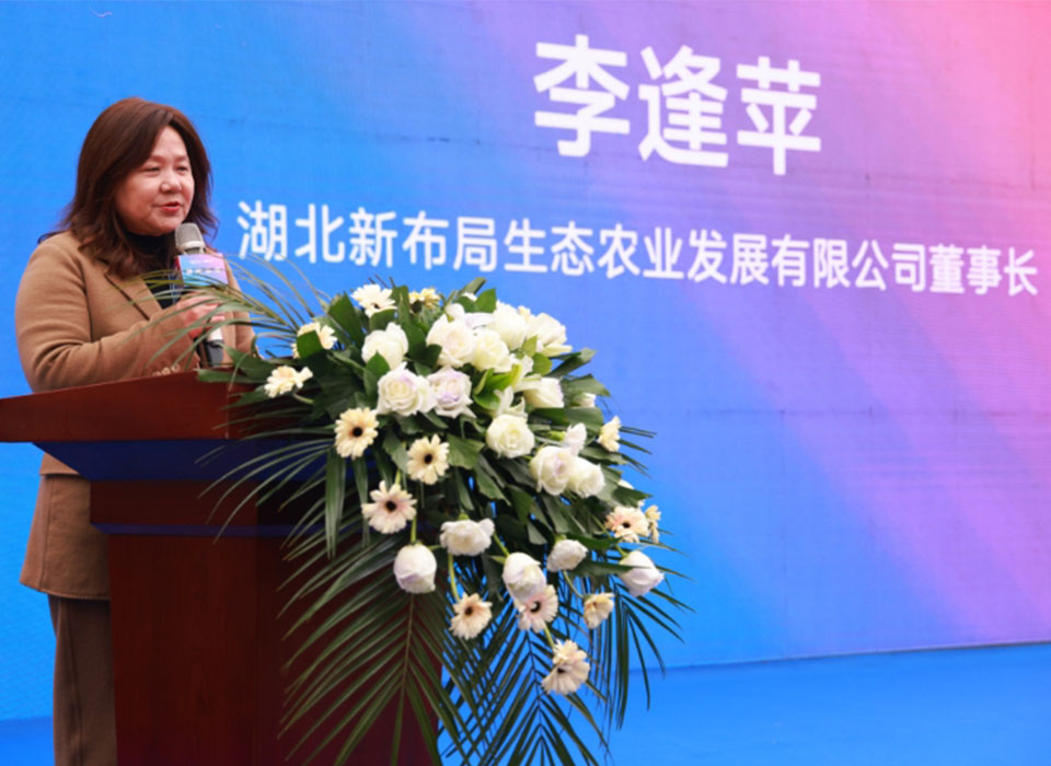 20241125093521_10243 尊龙凯时-人生就是搏中国官方网站
