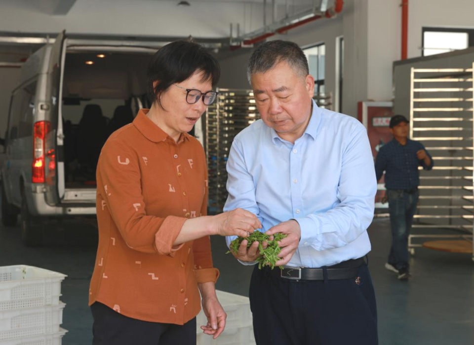 20250328194444_10522 尊龙凯时-人生就是搏中国官方网站
